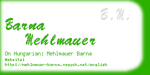 barna mehlmauer business card